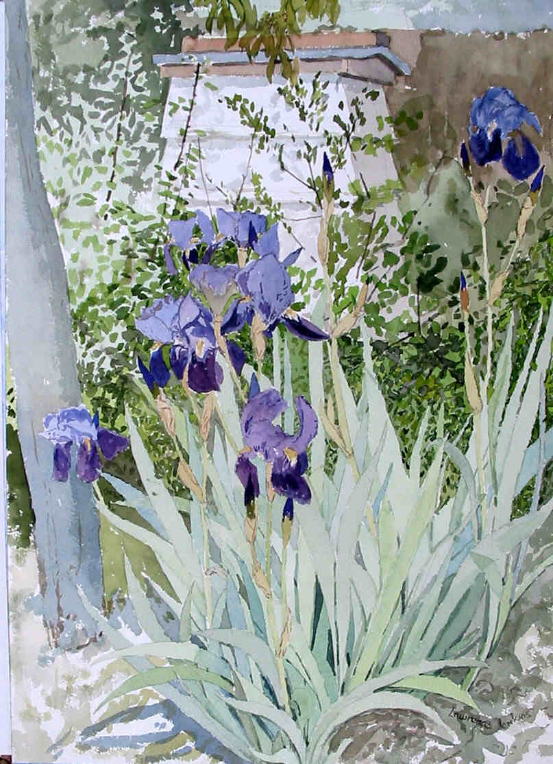 Watercolour of Irises
